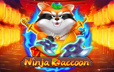 Ninja Raccoon