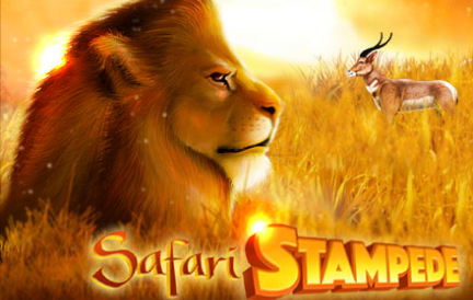 Safari Stampede