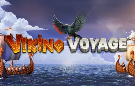 Viking Voyage